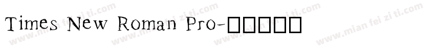 Times New Roman Pro字体转换
